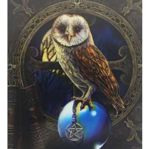 Meet your Posher, Christopher - Picture 4 of 6